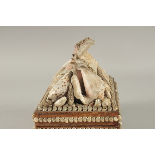 682 - A DECORATIVE VICTORIAN SHELL ENCRUSTED CASKET. 24cms long.