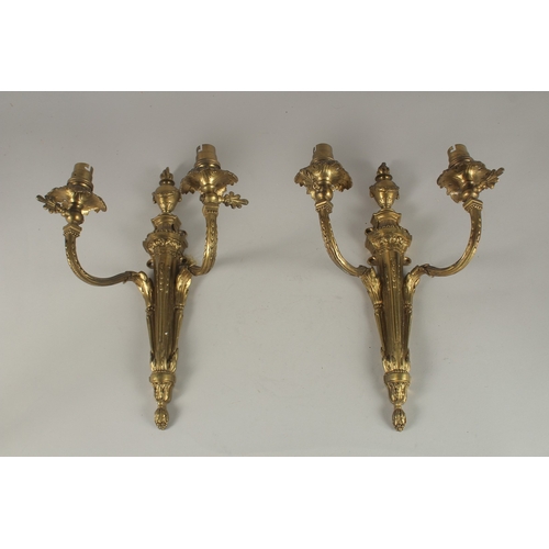 684 - A PAIR OF CLASSICAL GILT BRONZE TWIN-BRANCH WALL LIGHTS. 38cms high.