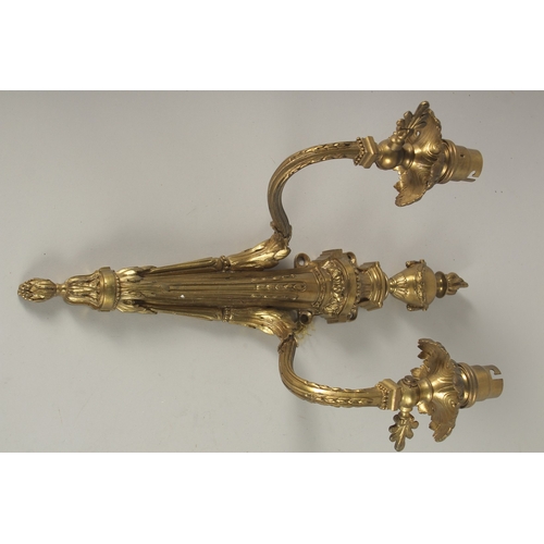 684 - A PAIR OF CLASSICAL GILT BRONZE TWIN-BRANCH WALL LIGHTS. 38cms high.