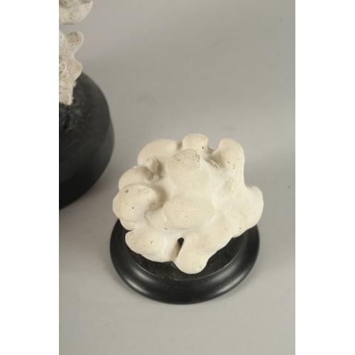 688 - A GROUP OF THREE CORAL SPECIMENS ON STAND. Largest: 16cms high.