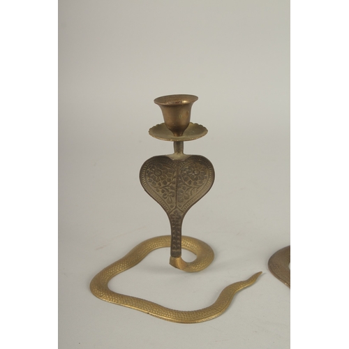 696 - A PAIR OF BRASS COBRA CANDLESTICKS. 17cms high.