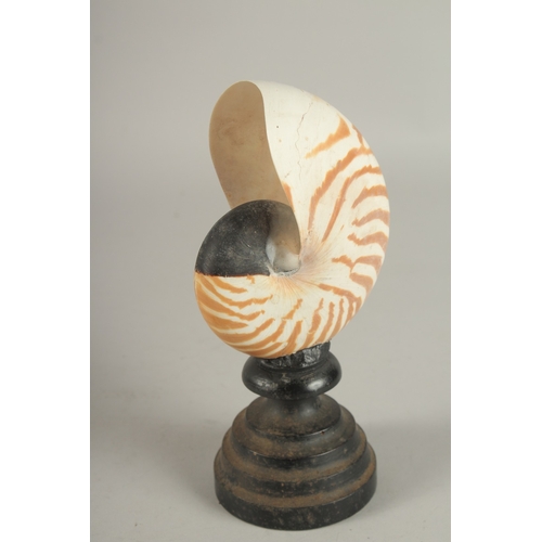 714 - A NAUTILUS SPECIMEN on a wooden base. 4.5ins.