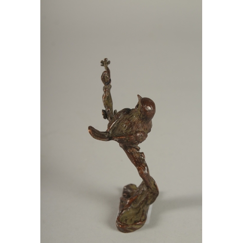 915 - A JAPANESE BRONZE BIRD in a tree. 3.5cms.