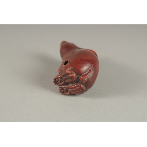 919 - A CARVED HARDWOOD RABBIT NETSUKE. Signed. 2cms.