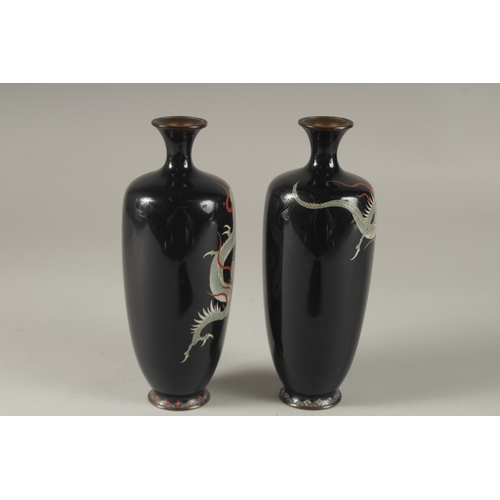 117 - A FINE PAIR OF JAPANESE MIDNIGHT BLUE GROUND CLOISONNNE ENAMELLED VASES, decorated with dragons, sig... 