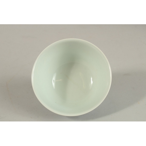 307 - A FINE CHINESE BLUE AND WHITE PORCELAIN BOWL, with six-character mark, 11.5cm diameter.