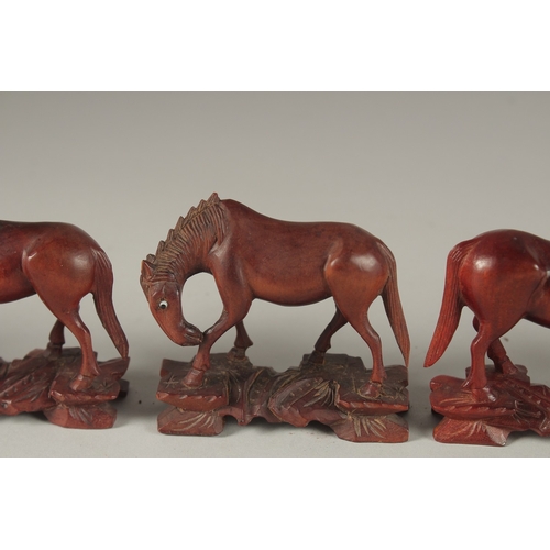 7 - A COLLECTION OF CARVED WOOD HORSES, with inlaid eyes, (6).