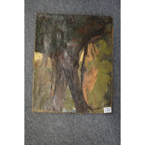 476 - Woodland scene with trees and plants, oil on canvas, unframed.