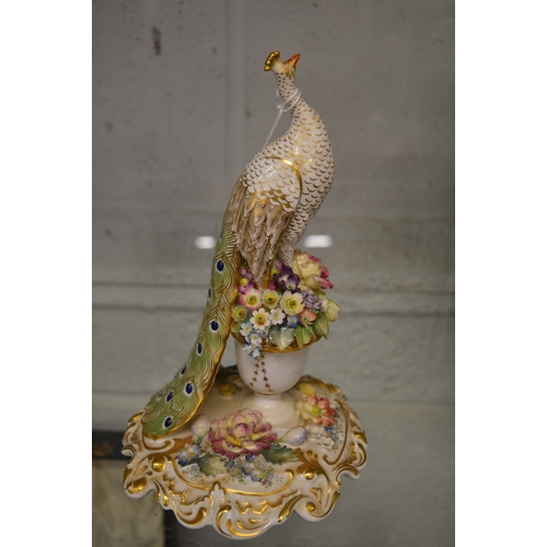 606 - A Derby porcelain group of a peacock with floral encrusted decoration.