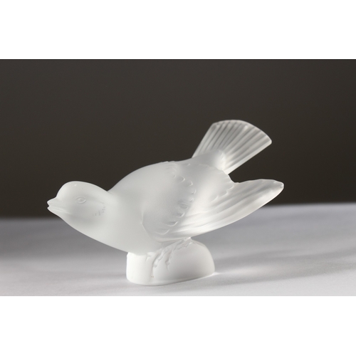 542 - A GOOD LALIQUE BIRD. Engraved Lalique, France. 5ins high.