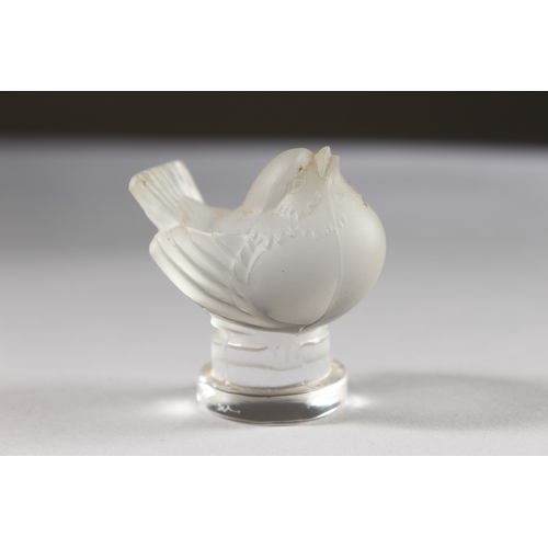 545 - A SMALL LALIQUE CHUBBY BIRD. Etched Lalique, France. 1.75ins high.