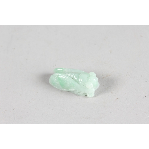 871 - A SMALL CARVED JADE LOCUST. 1.25ins.