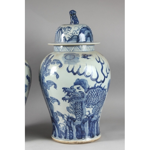 174 - A VERY LARGE PAIR OF CHINESE BLUE AND WHITE PORCELAIN JARS AND COVER, decorated with dog of fo, 52cm... 