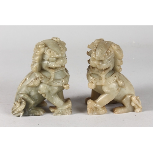 40 - A PAIR OF CHINESE CARVED GREEN SOAPSTONE TEMPLE LIONS, 12cm high.