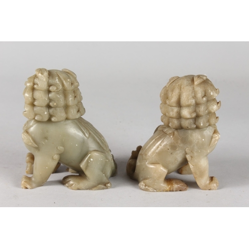 40 - A PAIR OF CHINESE CARVED GREEN SOAPSTONE TEMPLE LIONS, 12cm high.