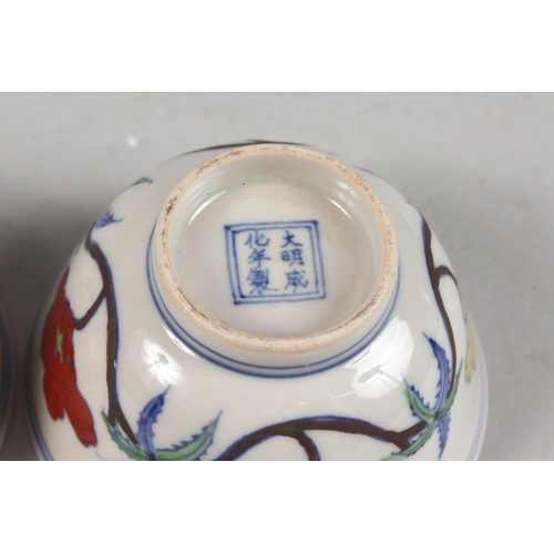 407 - A PAIR OF CHINESE DOUCAI PORCELAIN TEA BOWLS, with floral decoration, each base with six-character m... 