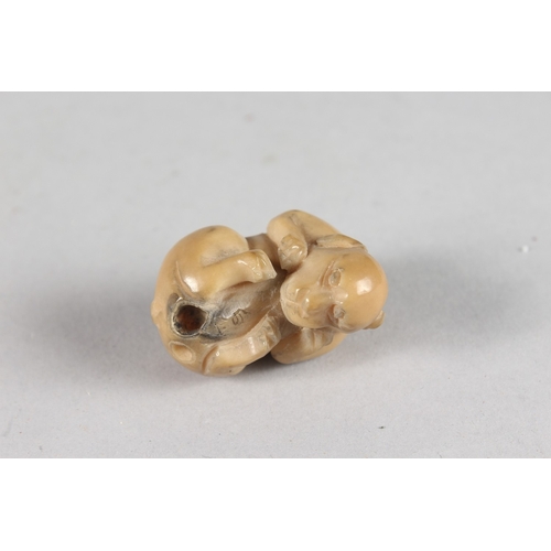 44 - A JAPANESE CARVED NETSUKE OF A COILED ANIMAL, 4cm.