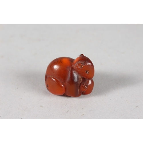 45 - A JAPANESE POSSIBLY BAKELITE / AMBER OR RESIN NETSUKE OF A MOUSE, 3.5cm.