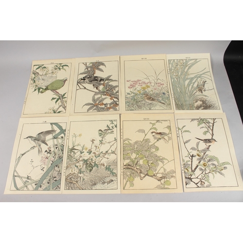 56 - KEINEN IMAO (1845-1924): FROM THE SERIES OF KEINEN'S ALBUM OF BIRDS AND FLOWERS; eight original late... 