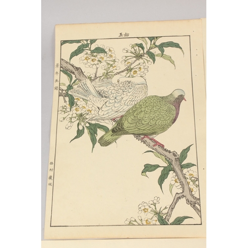 56 - KEINEN IMAO (1845-1924): FROM THE SERIES OF KEINEN'S ALBUM OF BIRDS AND FLOWERS; eight original late... 