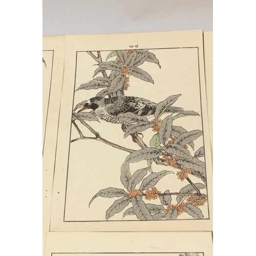 56 - KEINEN IMAO (1845-1924): FROM THE SERIES OF KEINEN'S ALBUM OF BIRDS AND FLOWERS; eight original late... 