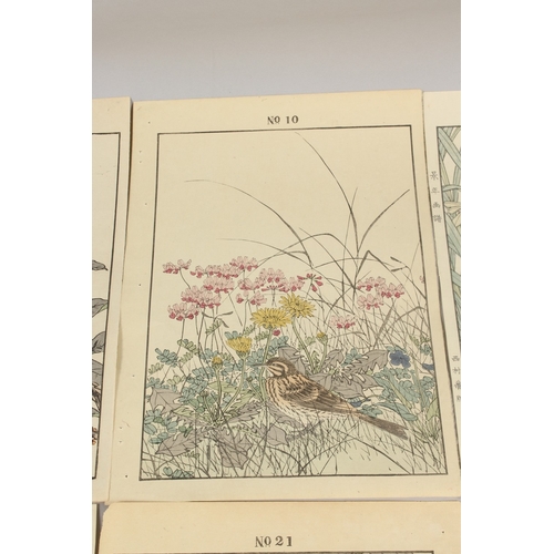 56 - KEINEN IMAO (1845-1924): FROM THE SERIES OF KEINEN'S ALBUM OF BIRDS AND FLOWERS; eight original late... 