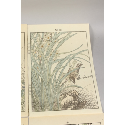 56 - KEINEN IMAO (1845-1924): FROM THE SERIES OF KEINEN'S ALBUM OF BIRDS AND FLOWERS; eight original late... 