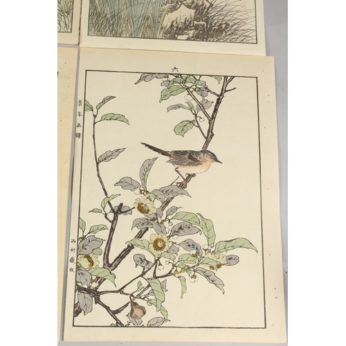 56 - KEINEN IMAO (1845-1924): FROM THE SERIES OF KEINEN'S ALBUM OF BIRDS AND FLOWERS; eight original late... 