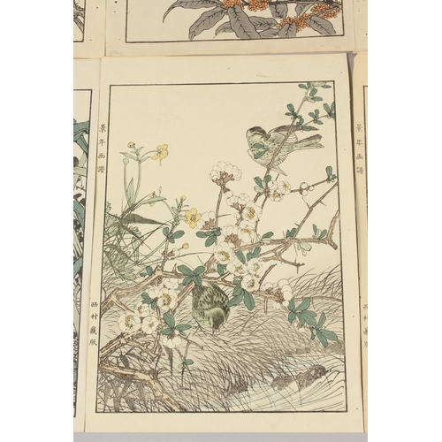 56 - KEINEN IMAO (1845-1924): FROM THE SERIES OF KEINEN'S ALBUM OF BIRDS AND FLOWERS; eight original late... 