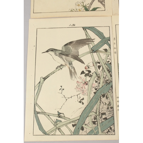 56 - KEINEN IMAO (1845-1924): FROM THE SERIES OF KEINEN'S ALBUM OF BIRDS AND FLOWERS; eight original late... 