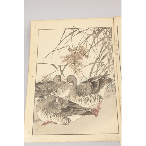 57 - KEINEN IMAO (1845-1924), MASAHARU INOUE (act. early 20th century): BIRDS AND FLOWERS; four original ... 