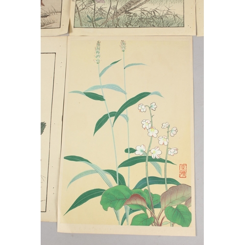 57 - KEINEN IMAO (1845-1924), MASAHARU INOUE (act. early 20th century): BIRDS AND FLOWERS; four original ... 