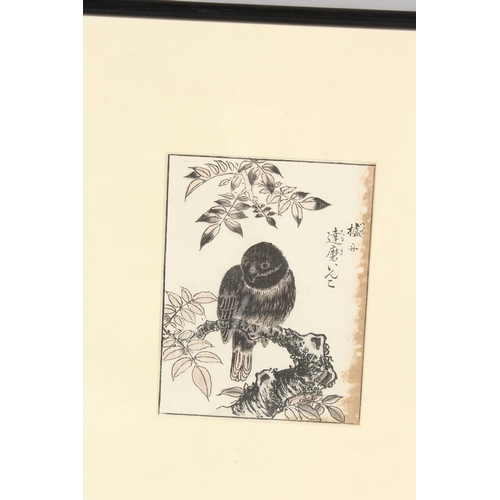 62 - A JAPANESE WOODBLOCK PRINT, depicting a bird on a branch, framed and glazed.