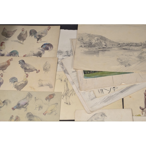 115 - ROBERT LILLIE (1867-1949) Collection of watercolour and pencil sketches, to include woodland, landsc... 