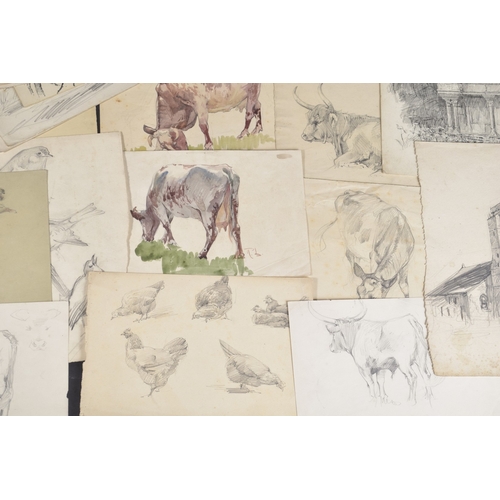 115 - ROBERT LILLIE (1867-1949) Collection of watercolour and pencil sketches, to include woodland, landsc... 