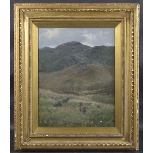 238 - J W STANFORD? (LATE 19TH CENTURY) Grazing sheep in a highland valley, indistinctly signed, oil on ca... 