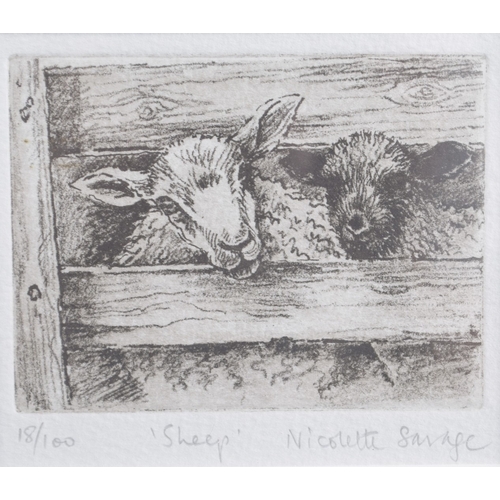 76 - NICOLETTE SAVAGE (CONTEMPORARY) Sheep, limited edition etching of sheep in a pen, signed in pencil, ... 