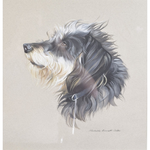 86 - MICHELLE BENNETT OATES (1928-2009) Portriat of a Spaniel and the head of another hound, gouache on g... 