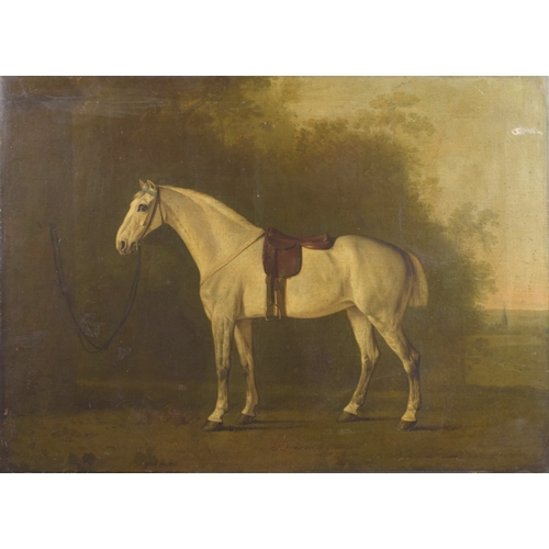 240 - ATTRIBUTED TO GEORGE STUBBS (1724-1806) Grey horse with a saddle in a landscape setting with trees a... 