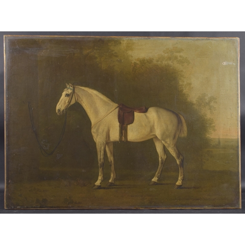 240 - ATTRIBUTED TO GEORGE STUBBS (1724-1806) Grey horse with a saddle in a landscape setting with trees a... 