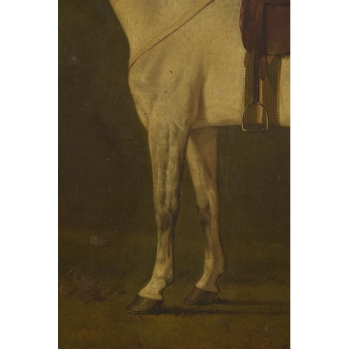 240 - ATTRIBUTED TO GEORGE STUBBS (1724-1806) Grey horse with a saddle in a landscape setting with trees a... 