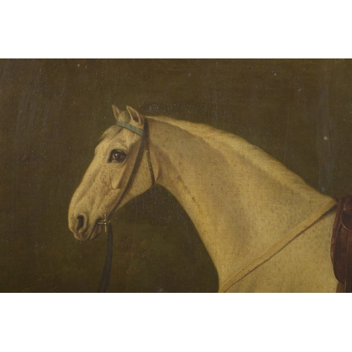 240 - ATTRIBUTED TO GEORGE STUBBS (1724-1806) Grey horse with a saddle in a landscape setting with trees a... 