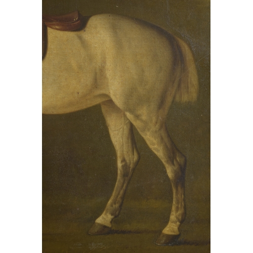 240 - ATTRIBUTED TO GEORGE STUBBS (1724-1806) Grey horse with a saddle in a landscape setting with trees a... 