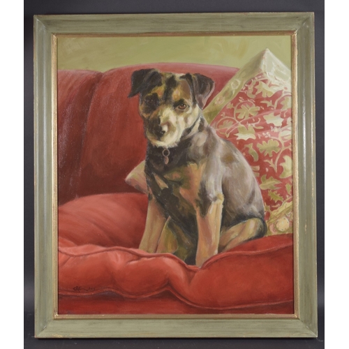 113 - CONTEMPORARY SCHOOL Portrait of a terrier dog, seated on a red cushion, oil on canvas, signed with i... 