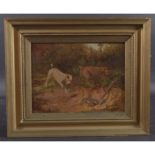 172 - ARTHUR BATT (1846-1911) Terriers rabbit hunting, oil on board, signed and dated 1901 8.75