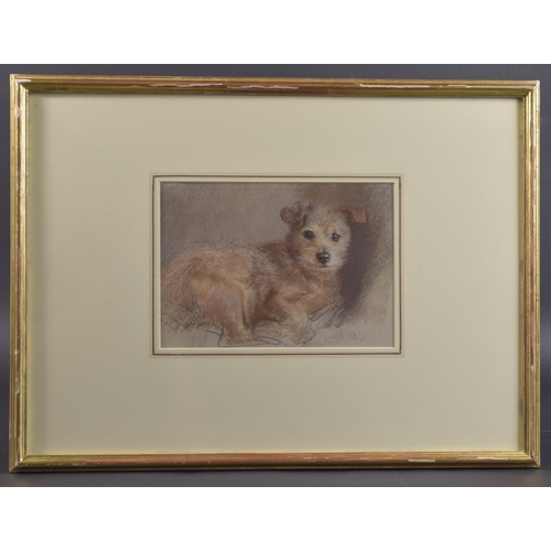 29 - NEIL FORSTER (1940-2016) 'Chippo' terrier dog, pastel, signed, Chris Beetles Gallery label, 7.25