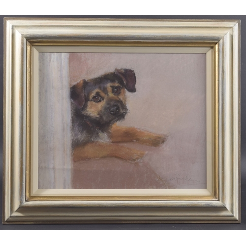 30 - NEIL FORSTER (1940-2016) Terrier, pastel, signed, 13.25