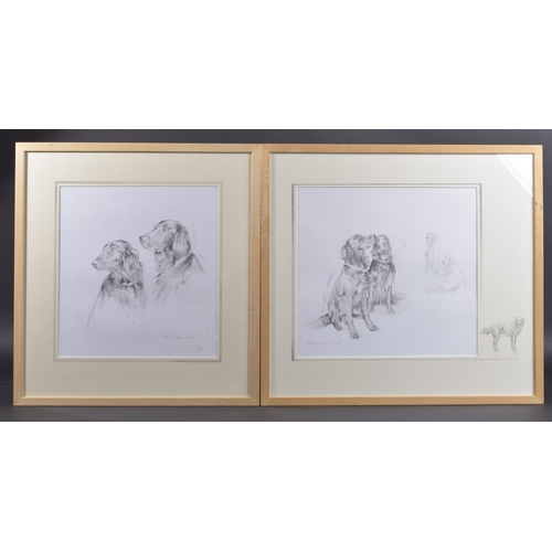 32 - SALLI YOUNG (CONTEMPORARY) Two studies of setter hounds 'Minky and Max' pencil, signed and dated 200... 