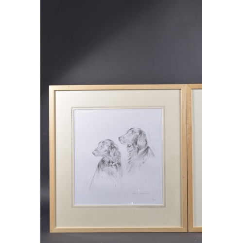 32 - SALLI YOUNG (CONTEMPORARY) Two studies of setter hounds 'Minky and Max' pencil, signed and dated 200... 