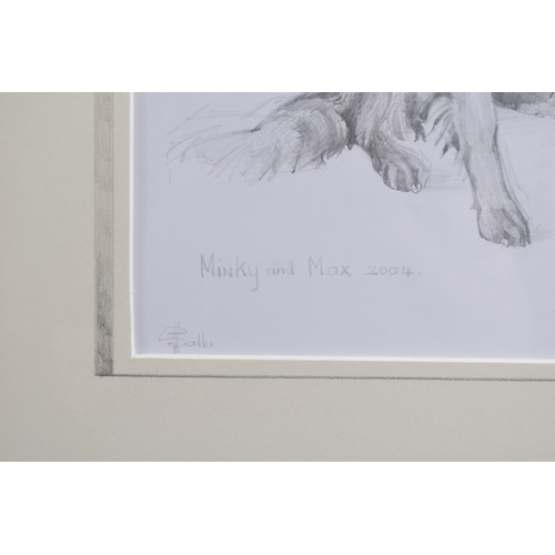 32 - SALLI YOUNG (CONTEMPORARY) Two studies of setter hounds 'Minky and Max' pencil, signed and dated 200... 